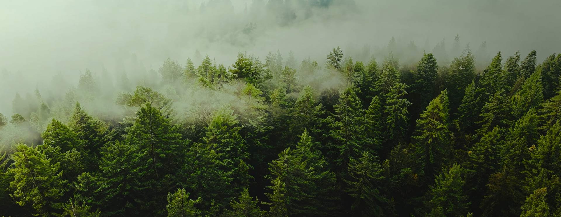 Nantong Sufang Textile Co., Ltd.